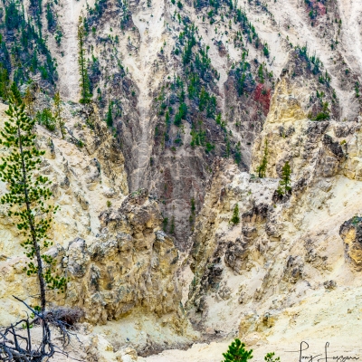Canyon-Abstract-_DSC7476-HDR